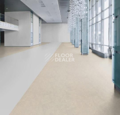 Forbo Marmoleum Decibel on Order 313635 concrete фото 2 | FLOORDEALER